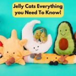 Jelly Cats Guide: Explore Types, Benefits & Collecting