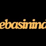 Bebasinindo: Exploring the Emergence of an Innovative Digital Platform